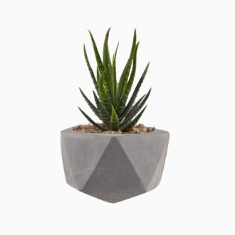 product-06 | گل فروشی تاج گل