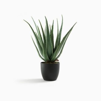 product-07 | گل فروشی تاج گل