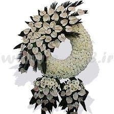 تاج گل خورشیدی
